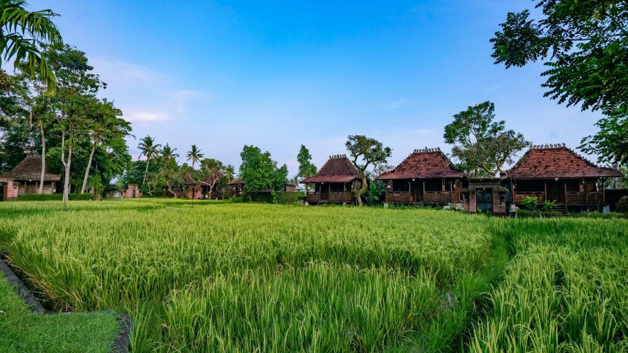 Kajane Yangloni At Ubud Exterior foto